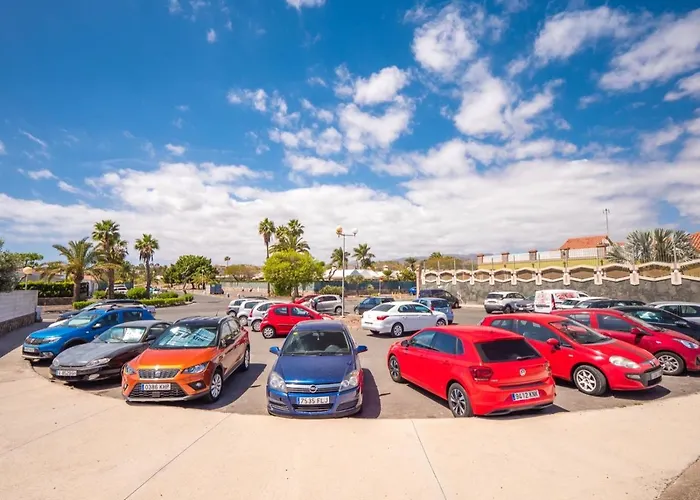 Maspalomas Duna Flor ラスパルマス・デ・グランカナリア