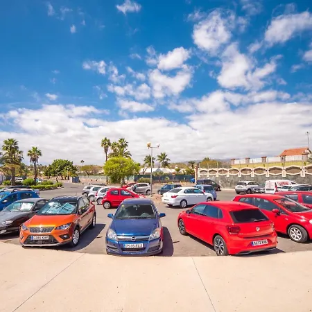Maspalomas Duna Flor Las Palmas de Gran Canaria